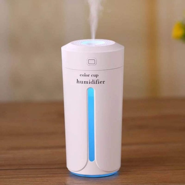 Air Humidifier Eliminate Static Electricity Clean Air Care for Skin Nano Spray Technology Mute Design Aroma Diffuser